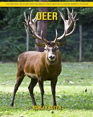 Book cover for Deer