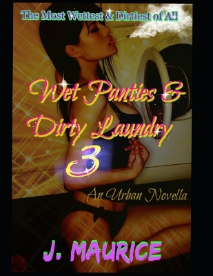 Book cover for Wet Panties & Dirty Laundry 3
