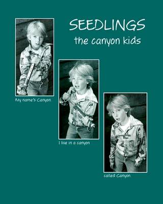 Book cover for Seedlings