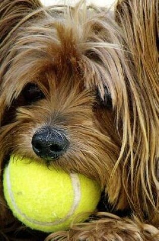 Cover of Yorkshire Terrier with a Tennis Ball Journal