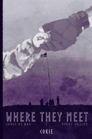 Cover of Where They Meet