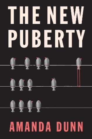 Cover of The New Puberty