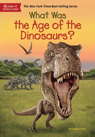 Book cover for What Was the Age of the Dinosaurs?
