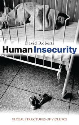Book cover for Human Insecurity