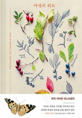 Book cover for The Wild Remedy: How Nature Mends Us