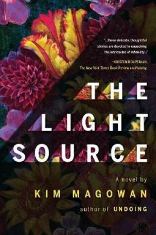 Cover of The Light Source