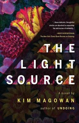 Book cover for The Light Source