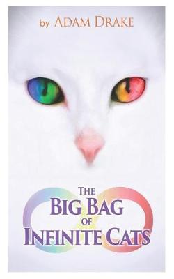 Book cover for The Big Bag of Infinite Cats