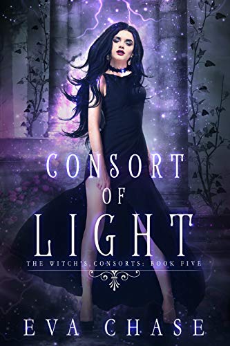 Cover of Consort of Light