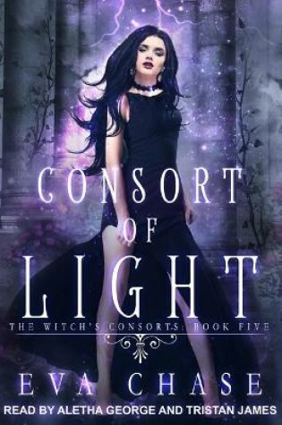 Cover of Consort of Light