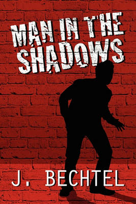 Book cover for Man in the Shadows