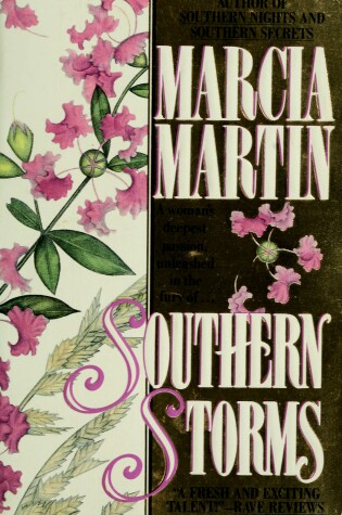 Cover of Southern Storms