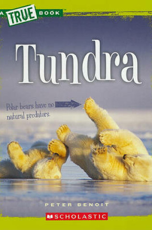 Cover of Tundra