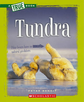 Book cover for Tundra