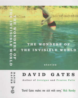 Book cover for The Wonders of the Invisible World