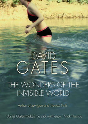 Book cover for The Wonders of the Invisible World