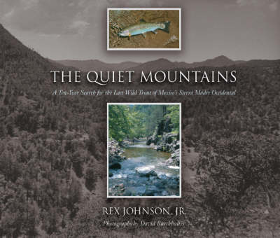 Book cover for The Quiet Mountains