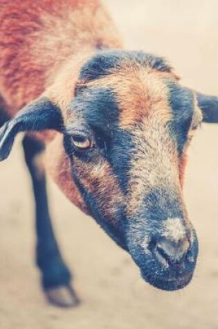 Cover of Brown and Black Goat Portrait Journal