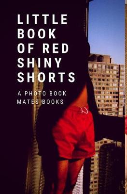 Book cover for Little book of red shorts