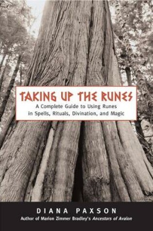 Cover of Taking Up the Runes