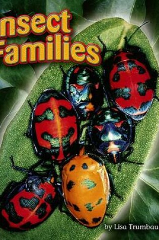 Cover of Insect Families