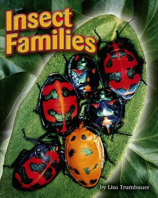 Book cover for Insect Families