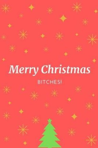 Cover of Merry Christmas Bitches!