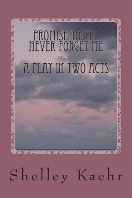 Book cover for Promise You'll Never Forget Me