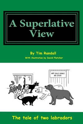 Book cover for Superlative View