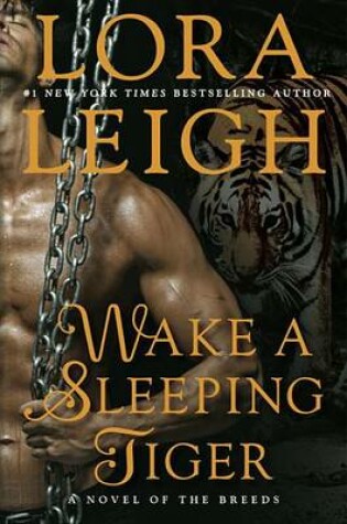 Cover of Wake A Sleeping Tiger