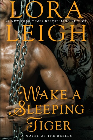 Cover of Wake a Sleeping Tiger