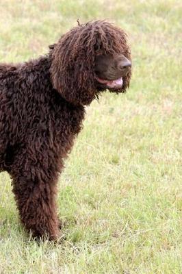 Cover of Irish Water Spaniel