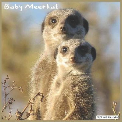 Book cover for Baby Meerkat 2021 Wall Calendar