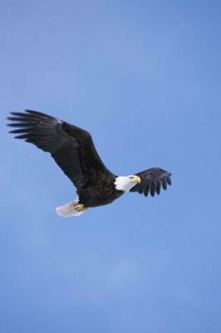 Cover of Bald Eagle Soaring in the Sky Journal