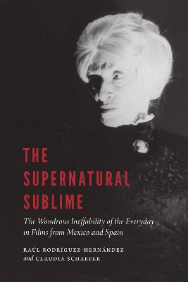 Book cover for The Supernatural Sublime