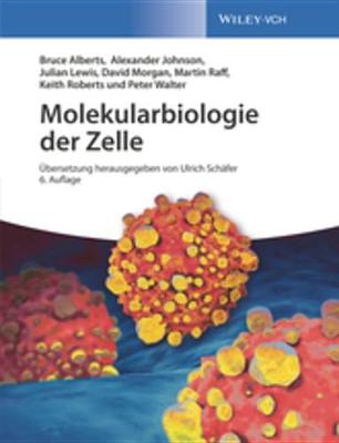 Book cover for Molekularbiologie der Zelle