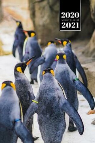 Cover of Penguin Puffin Antarctica Seabird Week Planner Weekly Organizer Calendar 2020 / 2021 - The Hike