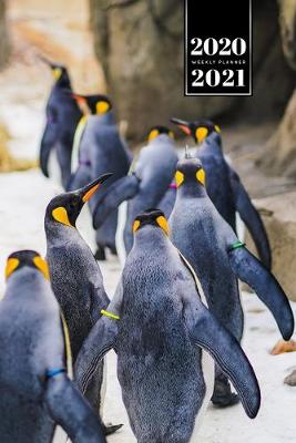 Book cover for Penguin Puffin Antarctica Seabird Week Planner Weekly Organizer Calendar 2020 / 2021 - The Hike