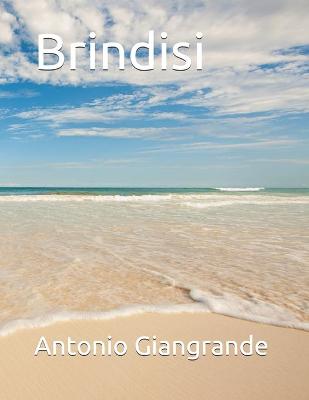 Book cover for Brindisi