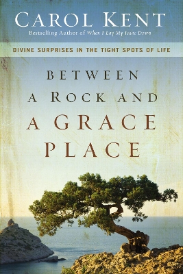 Book cover for Between a Rock and a Grace Place