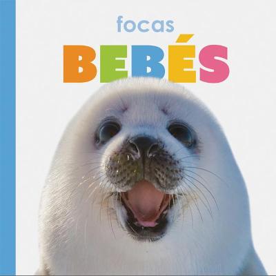 Book cover for Focas Bebés