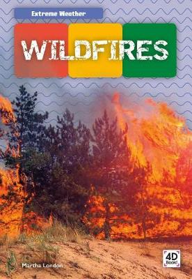 Book cover for Wildfires