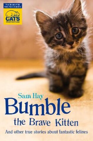 Cover of Bumble the Brave Kitten