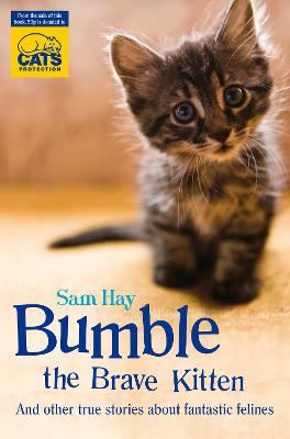 Book cover for Bumble the Brave Kitten