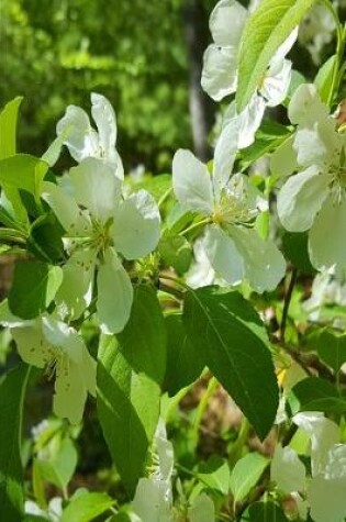 Cover of 2020 Weekly Planner Flowering Trees Springtime 134 Pages