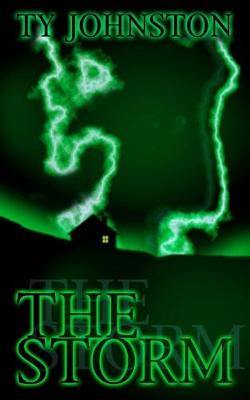 Book cover for The Storm