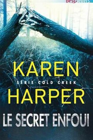 Cover of Le Secret Enfoui