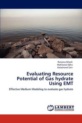 Book cover for Evaluating Resource Potential of Gas hydrate Using EMT