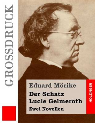 Book cover for Der Schatz / Lucie Gelmeroth (Gro druck)