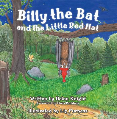 Book cover for Billy the Bat